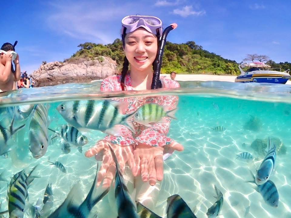 ดำน้ำชมปะการัง — ซีไซต์ ทราเวล แสมสาร
